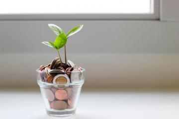 De ce sunt descurajate depozitele bancare in euro